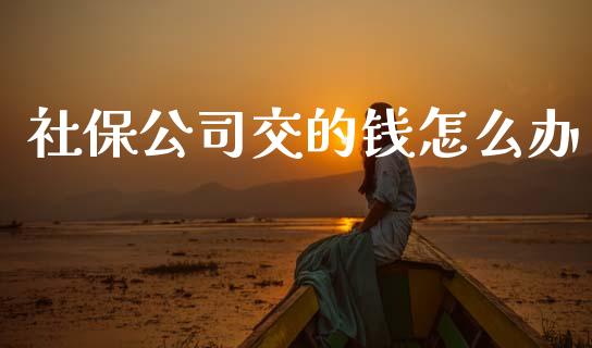 社保公司交的钱怎么办_https://cj002.lansai.wang_保险问答_第1张