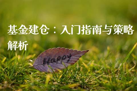 基金建仓：入门指南与策略解析_https://cj002.lansai.wang_期货问答_第1张