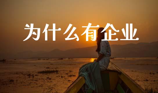 为什么有企业_https://cj002.lansai.wang_会计问答_第1张
