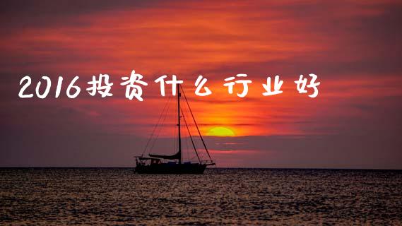 2016投资什么行业好_https://cj002.lansai.wang_财经问答_第1张