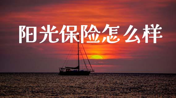 阳光保险怎么样_https://cj002.lansai.wang_保险问答_第1张