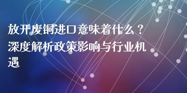 放开废铜进口意味着什么？深度解析政策影响与行业机遇_https://cj002.lansai.wang_保险问答_第1张