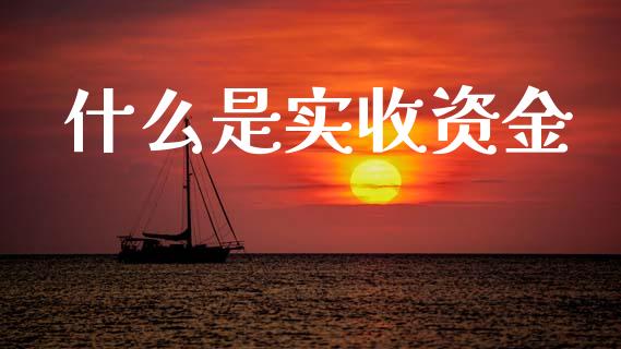 什么是实收资金_https://cj002.lansai.wang_会计问答_第1张