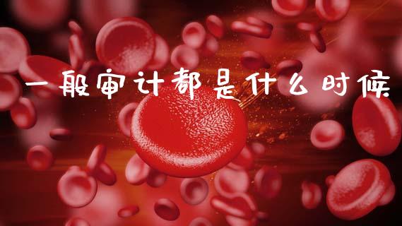 一般审计都是什么时候_https://cj002.lansai.wang_会计问答_第1张