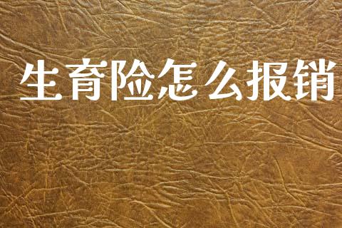 生育险怎么报销_https://cj002.lansai.wang_保险问答_第1张