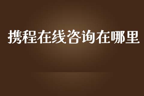 携程在线咨询在哪里_https://cj002.lansai.wang_财经百问_第1张