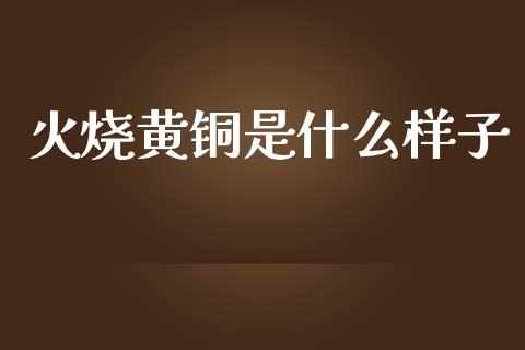 火烧黄铜是什么样子_https://cj002.lansai.wang_保险问答_第1张