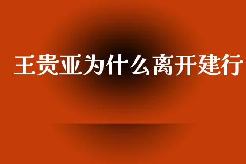 王贵亚为什么离开建行_https://cj002.lansai.wang_金融问答_第1张