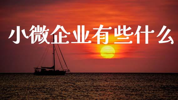 小微企业有些什么_财经问答_第1张_财经百问网 小微企业有些什么_https://cj002.lansai.wang_财经问答_第1张