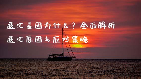 退汇是因为什么？全面解析退汇原因与应对策略_https://cj002.lansai.wang_股市问答_第1张