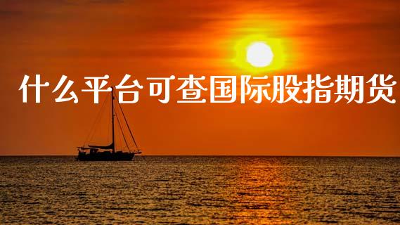 什么平台可查国际股指期货_https://cj002.lansai.wang_股市问答_第1张