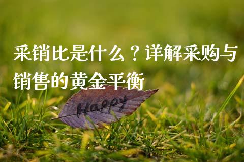 采销比是什么?详解采购与销售的黄金平衡_会计问答_第1张_财经百问网 采销比是什么?详解采购与销售的黄金平衡_https://cj002.lansai.wang_会计问答_第1张