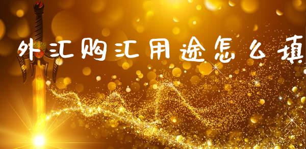 外汇购汇用途怎么填_https://cj002.lansai.wang_财经问答_第1张