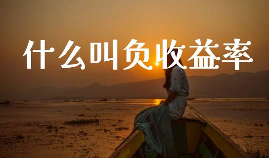 什么叫负收益率_https://cj002.lansai.wang_财经问答_第1张