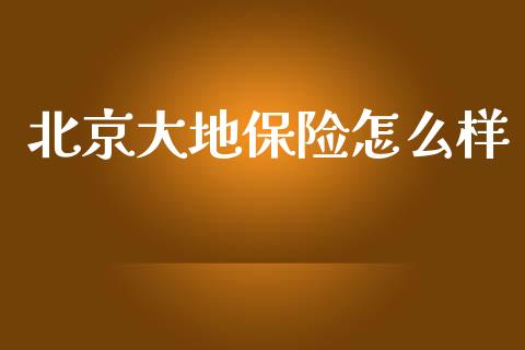 北京大地保险怎么样_https://cj002.lansai.wang_保险问答_第1张