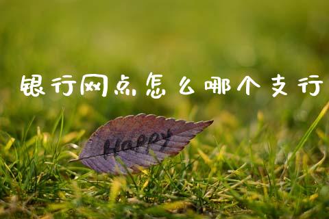 银行网点怎么哪个支行_https://cj002.lansai.wang_金融问答_第1张