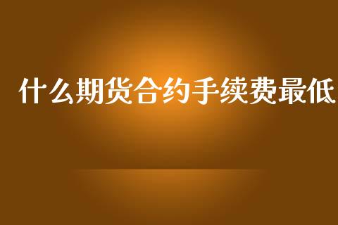什么期货合约手续费最低_https://cj002.lansai.wang_会计问答_第1张