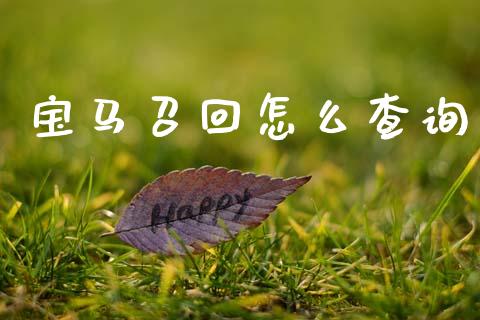 宝马召回怎么查询_https://cj002.lansai.wang_金融问答_第1张