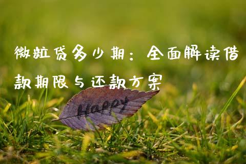 微粒贷多少期：全面解读借款期限与还款方案_https://cj002.lansai.wang_保险问答_第1张