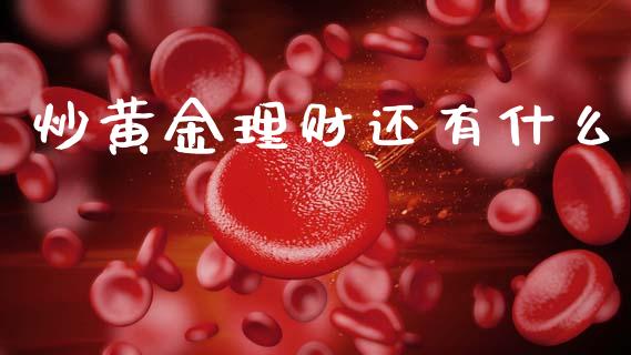 炒黄金理财还有什么_https://cj002.lansai.wang_财经问答_第1张