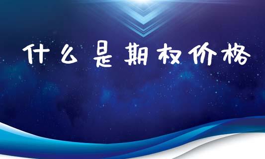 什么是期权价格_股市问答_第1张_财经百问网 什么是期权价格_https://cj002.lansai.wang_股市问答_第1张