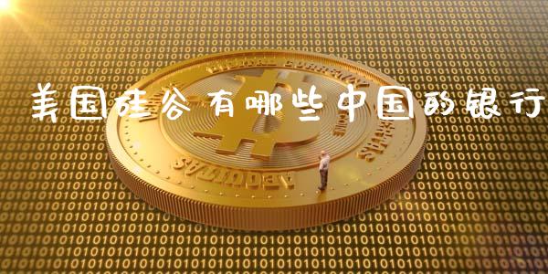 美国硅谷有哪些中国的银行_https://cj002.lansai.wang_期货问答_第1张