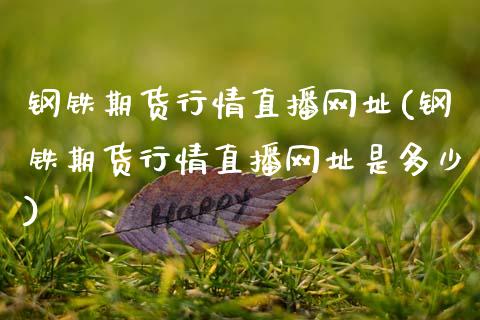 钢铁期货行情直播网址(钢铁期货行情直播网址是多少)_金融问答_第1张_财经百问网 钢铁期货行情直播网址(钢铁期货行情直播网址是多少)_https://cj002.lansai.wang_金融问答_第1张