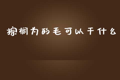 棕榈为的毛可以干什么_https://cj002.lansai.wang_期货问答_第1张