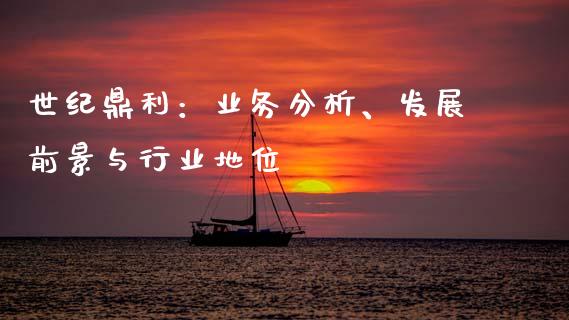 世纪鼎利：业务分析、发展前景与行业地位_https://cj002.lansai.wang_会计问答_第1张