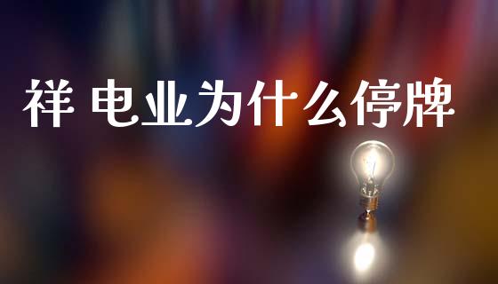 祥 电业为什么停牌_https://cj002.lansai.wang_股市问答_第1张