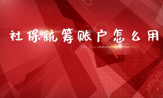 社保统筹账户怎么用_https://cj002.lansai.wang_保险问答_第1张
