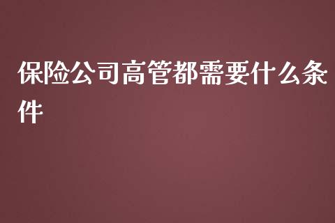 保险公司高管都需要什么条件_https://cj002.lansai.wang_财经百问_第1张