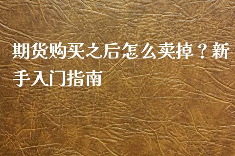 期货购买之后怎么卖掉？新手入门指南_https://cj002.lansai.wang_会计问答_第1张