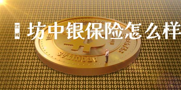潍坊中银保险怎么样_https://cj002.lansai.wang_保险问答_第1张