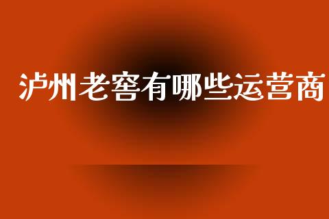泸州老窖有哪些运营商_https://cj002.lansai.wang_股市问答_第1张