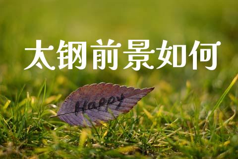 太钢前景如何_财经问答_第1张_财经百问网 太钢前景如何_https://cj002.lansai.wang_财经问答_第1张