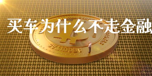 买车为什么不走金融_https://cj002.lansai.wang_理财问答_第1张