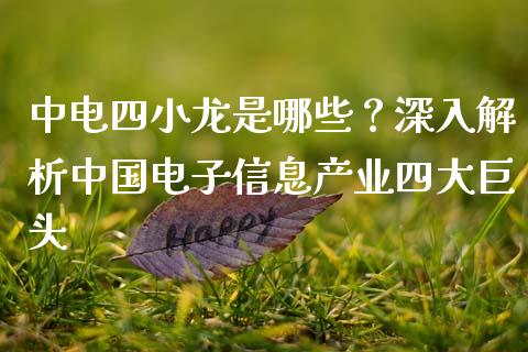 中电四小龙是哪些？深入解析中国电子信息产业四大巨头_https://cj002.lansai.wang_会计问答_第1张