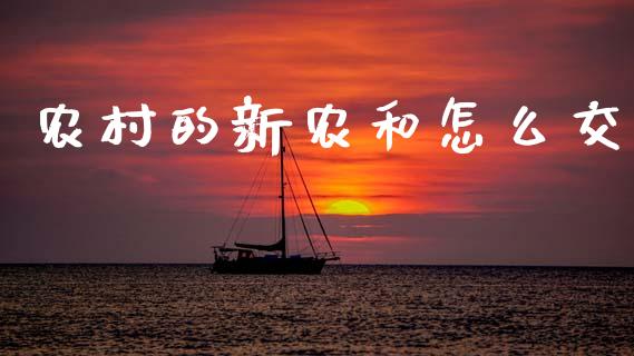 农村的新农和怎么交_https://cj002.lansai.wang_会计问答_第1张