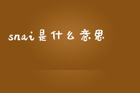 snai是什么意思_https://cj002.lansai.wang_会计问答_第1张