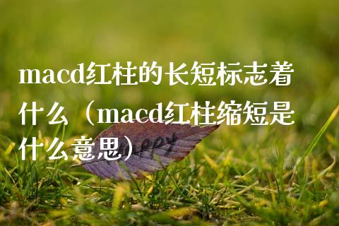 macd红柱的长短标志着什么（macd红柱缩短是什么意思）_https://cj002.lansai.wang_股市问答_第1张