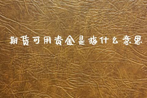 期货可用资金是指什么意思_https://cj002.lansai.wang_期货问答_第1张