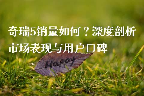 奇瑞5销量如何？深度剖析市场表现与用户口碑_https://cj002.lansai.wang_股市问答_第1张