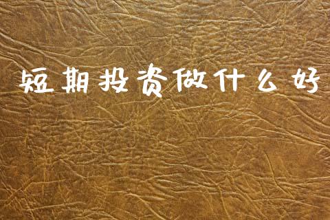 短期投资做什么好_https://cj002.lansai.wang_财经问答_第1张