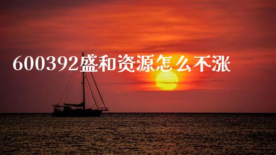 600392盛和资源怎么不涨_https://cj002.lansai.wang_理财问答_第1张