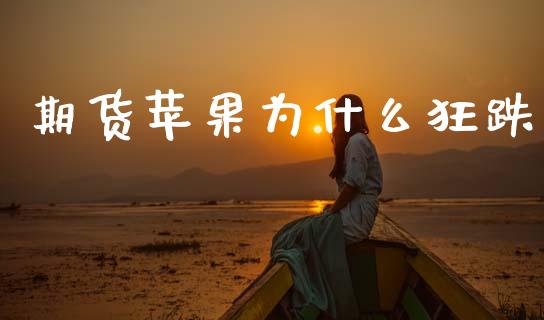 期货苹果为什么狂跌_https://cj002.lansai.wang_会计问答_第1张