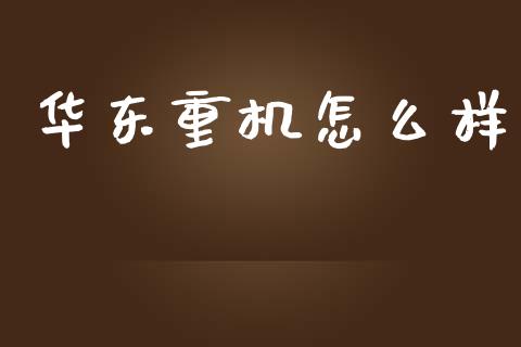 华东重机怎么样_https://cj002.lansai.wang_财经问答_第1张