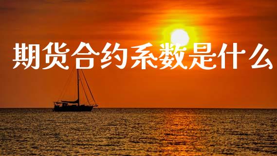 期货合约系数是什么_https://cj002.lansai.wang_保险问答_第1张