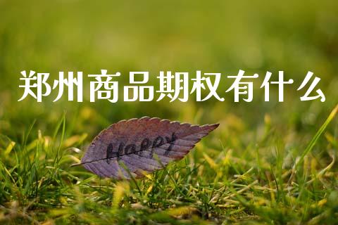 郑州商品期权有什么_金融问答_第1张_财经百问网 郑州商品期权有什么_https://cj002.lansai.wang_金融问答_第1张