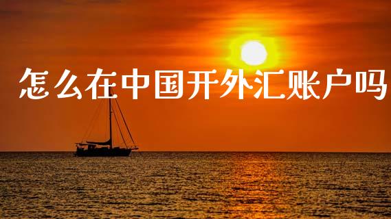 怎么在中国开外汇账户吗_https://cj002.lansai.wang_财经问答_第1张